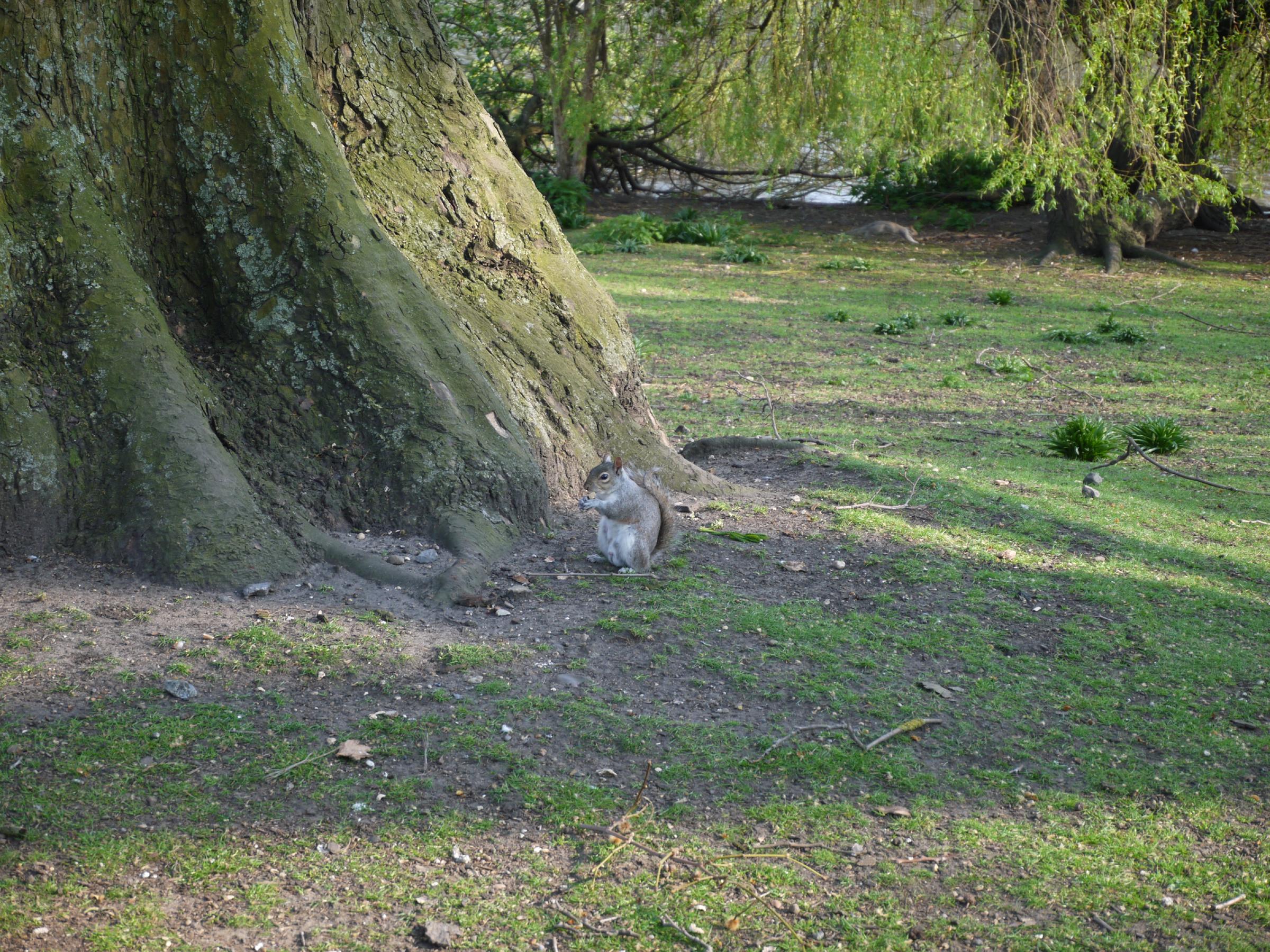 P1000758.jpg