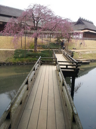 20130329_150457.jpg