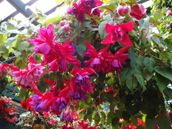 DSC00424.JPG