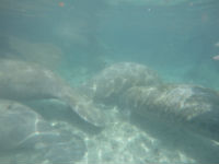 IMG_3737.jpg