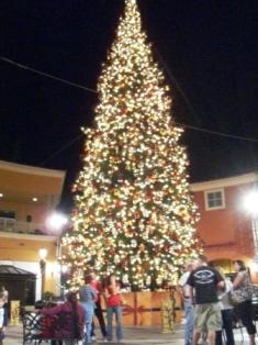 christmastree.JPG