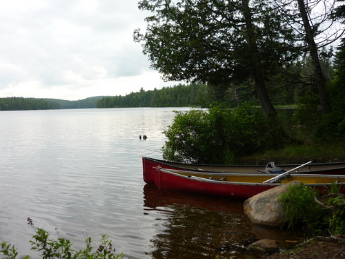 ALGONQUIN PARKのサムネール画像