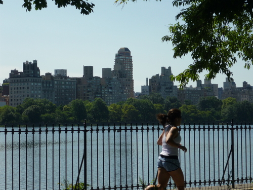 Central Park1