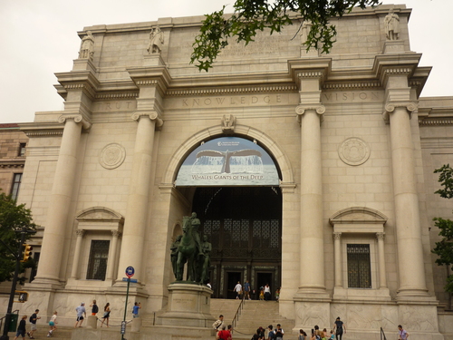 American Museum of Natural History2