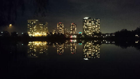 night view(high park).JPG