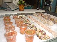 変換 ~ 名所_Fishmart_0604.jpg