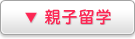 ▼親子留学