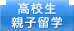 高校生