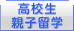 高校生