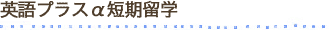 英語プラスα短期留学
