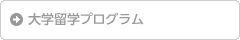 大学留学プログラム