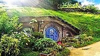 2616607_200.jpg