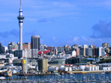 auckland3.jpg