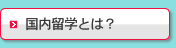 国内留学とは？
