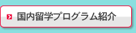 国内留学プログラム紹介