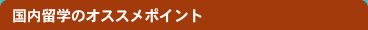 国内留学のオススメポイント