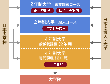 <アメリカ>大学進学モデル