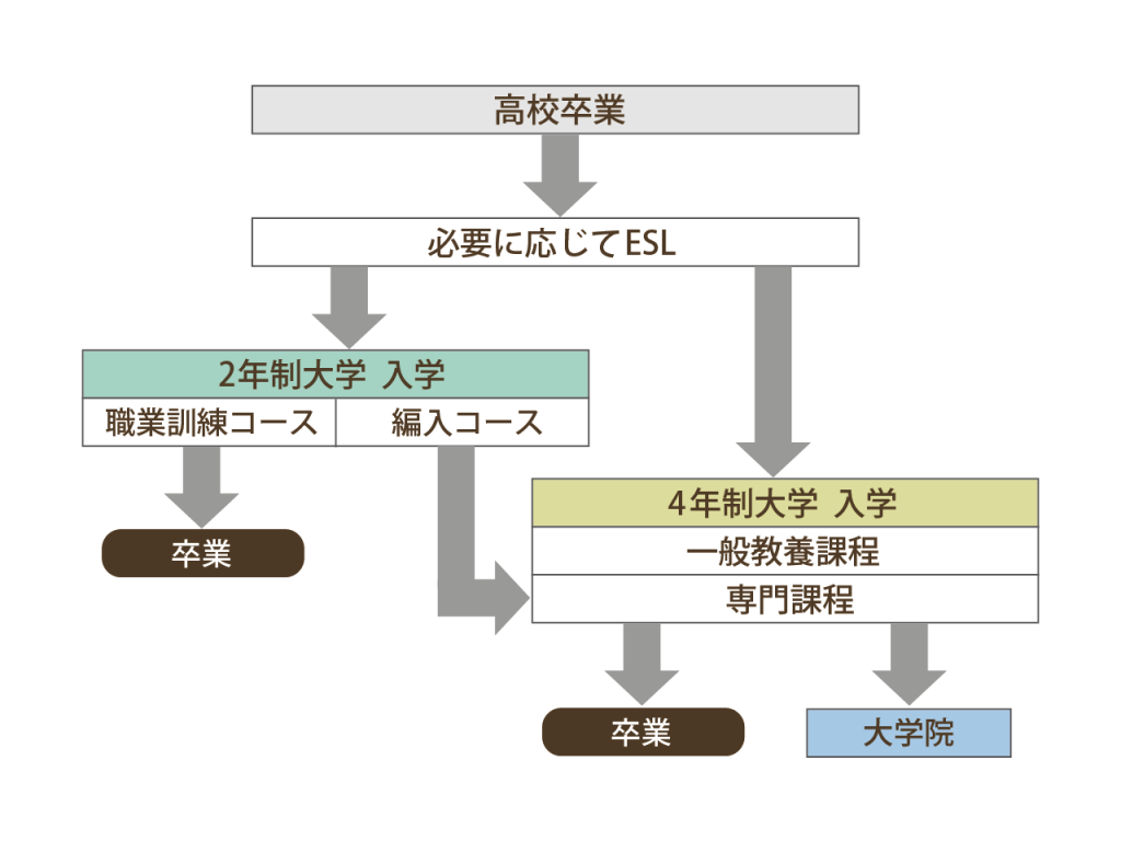 カナダの大学進学プロセス(一例)