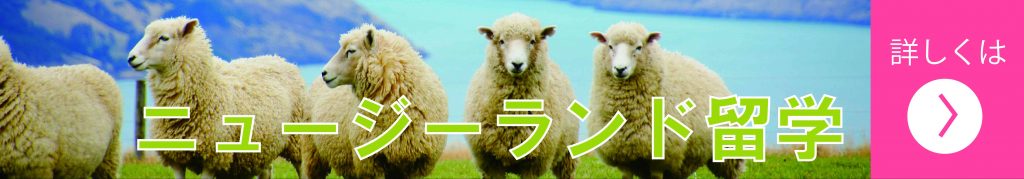 ニュージーランド留学