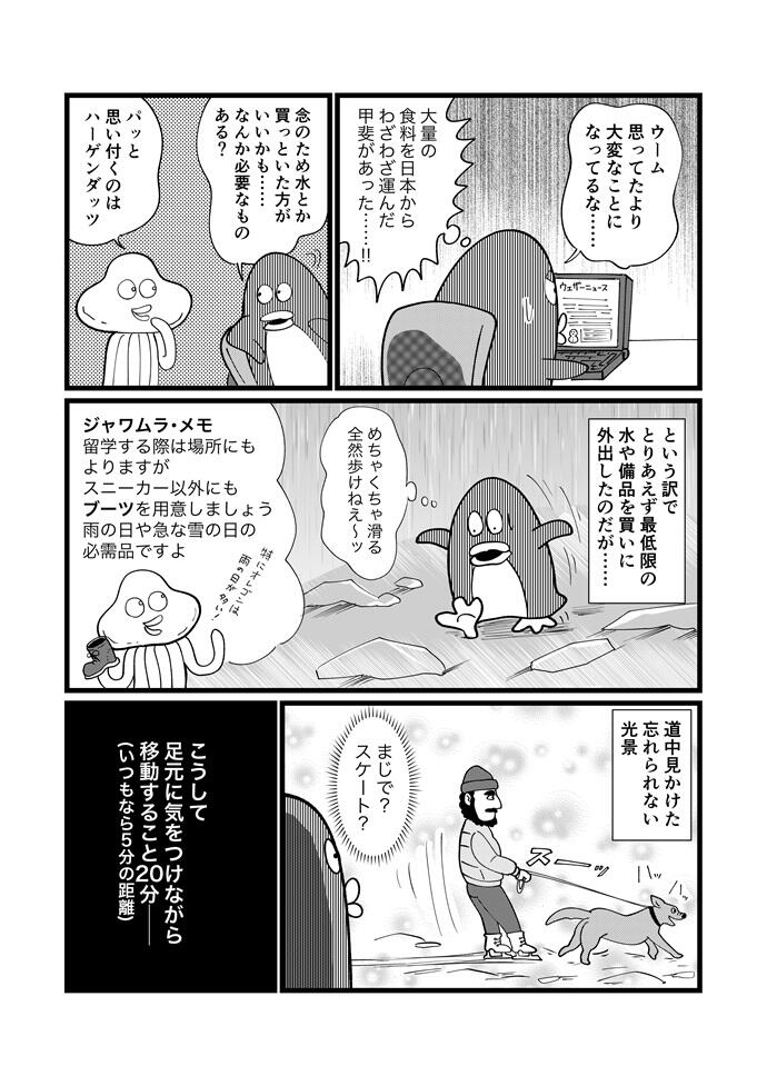 ポーランド大寒波襲来編28-5