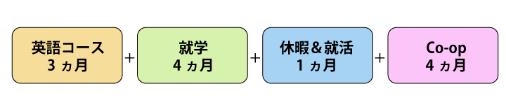 英語コース3ヶ月＋就学4ヶ月＋休暇＆就活1ヶ月＋Co-op4ヶ月