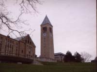 Cornell University