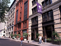 New York University