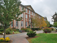 CDNY110_Adelphi University.jpg