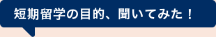 短期留学の目的、聞いてみた！