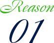 Reason 01