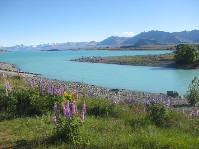 9857171_1436909600_79large.jpg