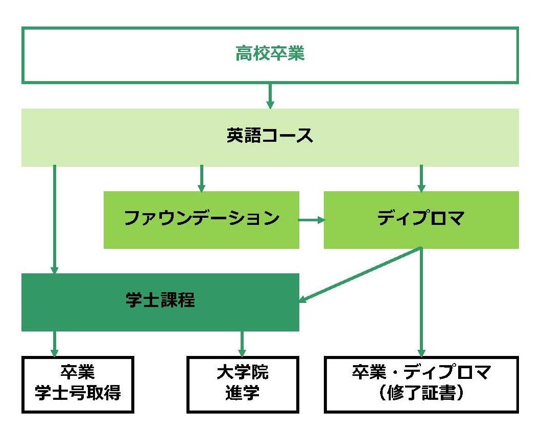 3年間で学位が取得できる