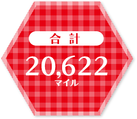 合計20,622マイル