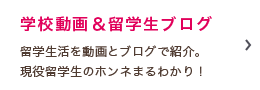 学校動画&留学生ブログ 留学生活を動画とブログで紹介。現役留学生のホンネまるわかり！