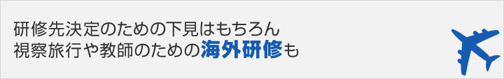 研修先決定のための下見はもちろん視察旅行や教師のための海外研修も