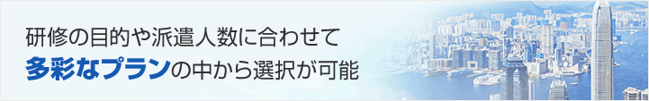 研修の目的や派遣人数に合わせて多彩なプランの中から選択が可能