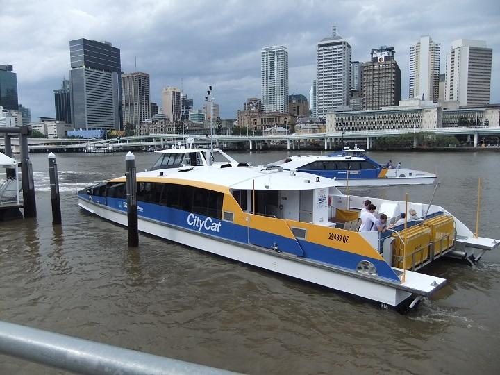 citycat_720.jpg