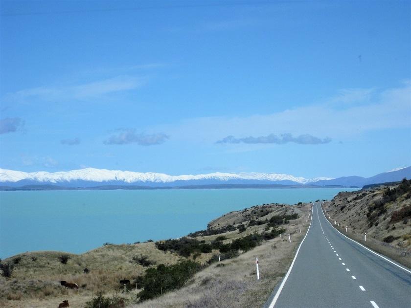 NZIMG_0369_840.jpg