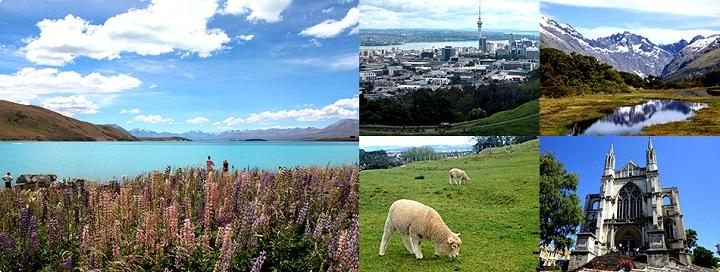 NZ_720.jpg