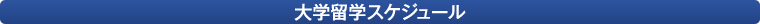 大学留学スケジュール