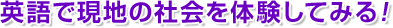 ѸǸϤμҲθƤߤ롪