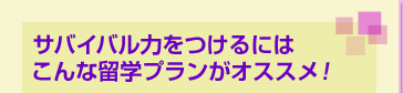 ХХϤĤˤ αإץ󤬥ᡪ