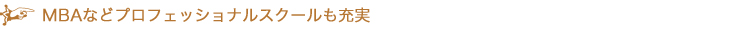 MBAなどプロフェッショナルスクールも充実