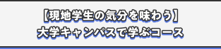 【現地学生の気分を味わう】大学キャンパスで学ぶコース