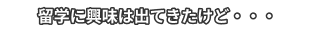留学に興味は出てきたけど・・・