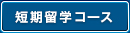 短期留学コース