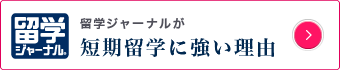 短期留学に強い理由