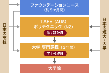 <オセアニア>大学進学モデル