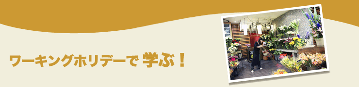 ワーキングホリデーで学ぶ