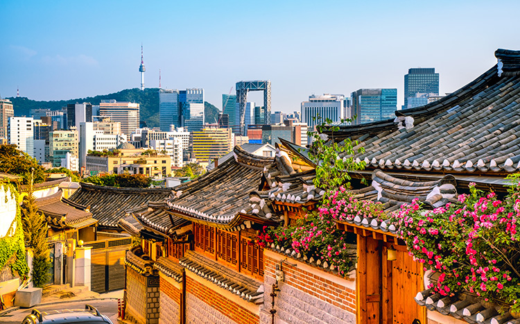 韓国短期留学の基本情報